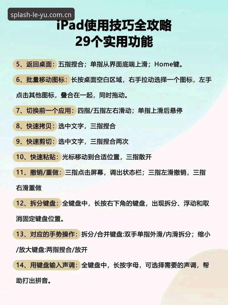 乐鱼体育正版平台到底怎么用？新手用户必看的完整操作指南