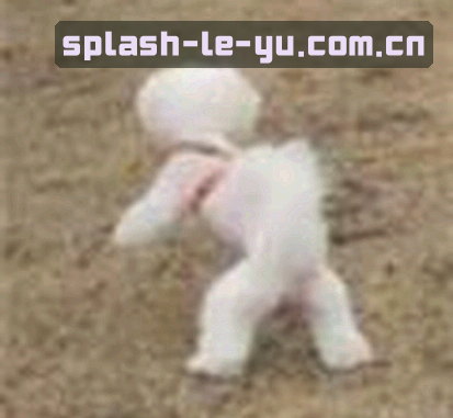 周涛